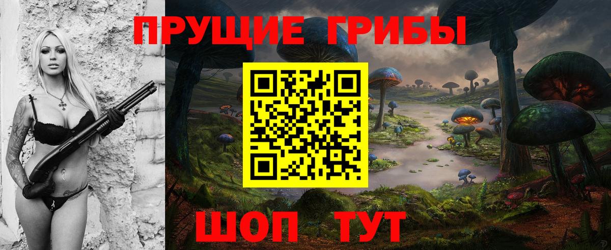 Еманжелинск  Псилоцибиновые грибы Psilocybe  Вход с VPN  Псилоцибиновые грибы Psilocybine cubensis 